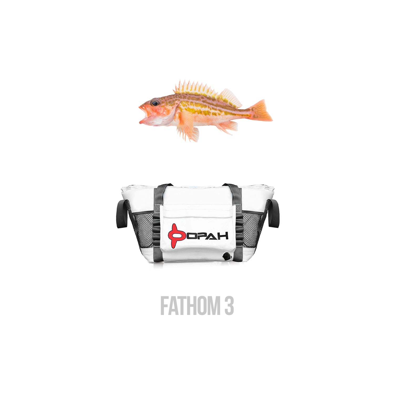 Fathom 3 Insulated Cooler Bag, Rockfish 32L x 12W x 18H – Opah