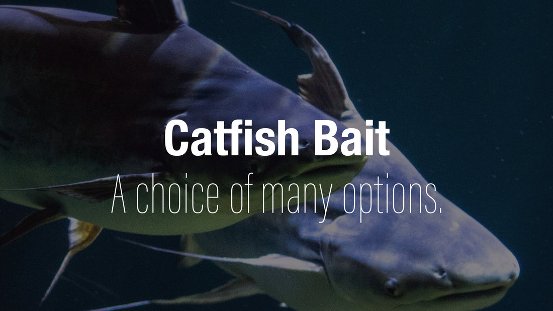 What bait should I use for catfish?