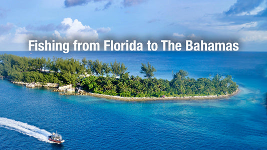 A Guide to Boating from Florida to the Bahamas for Fishing