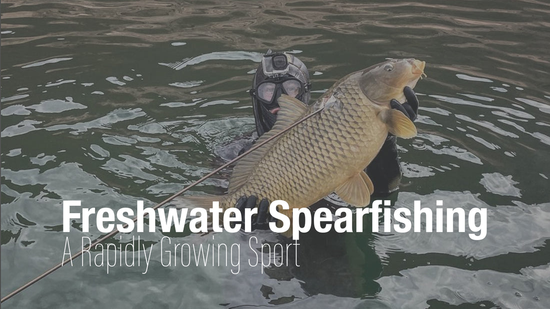 Freshwater Spearfishing: A Growing Trend in the Angling World