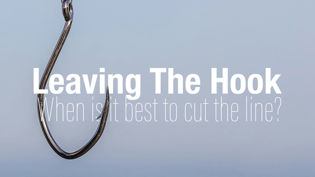 Leaving Hooks in Fish: When It's Better to Leave Well Enough Alone Opah Gear Fishing Bags Leaving Hooks in Fish: When It's Better to Leave Well Enough Alone Opah Gear Fishing Bags