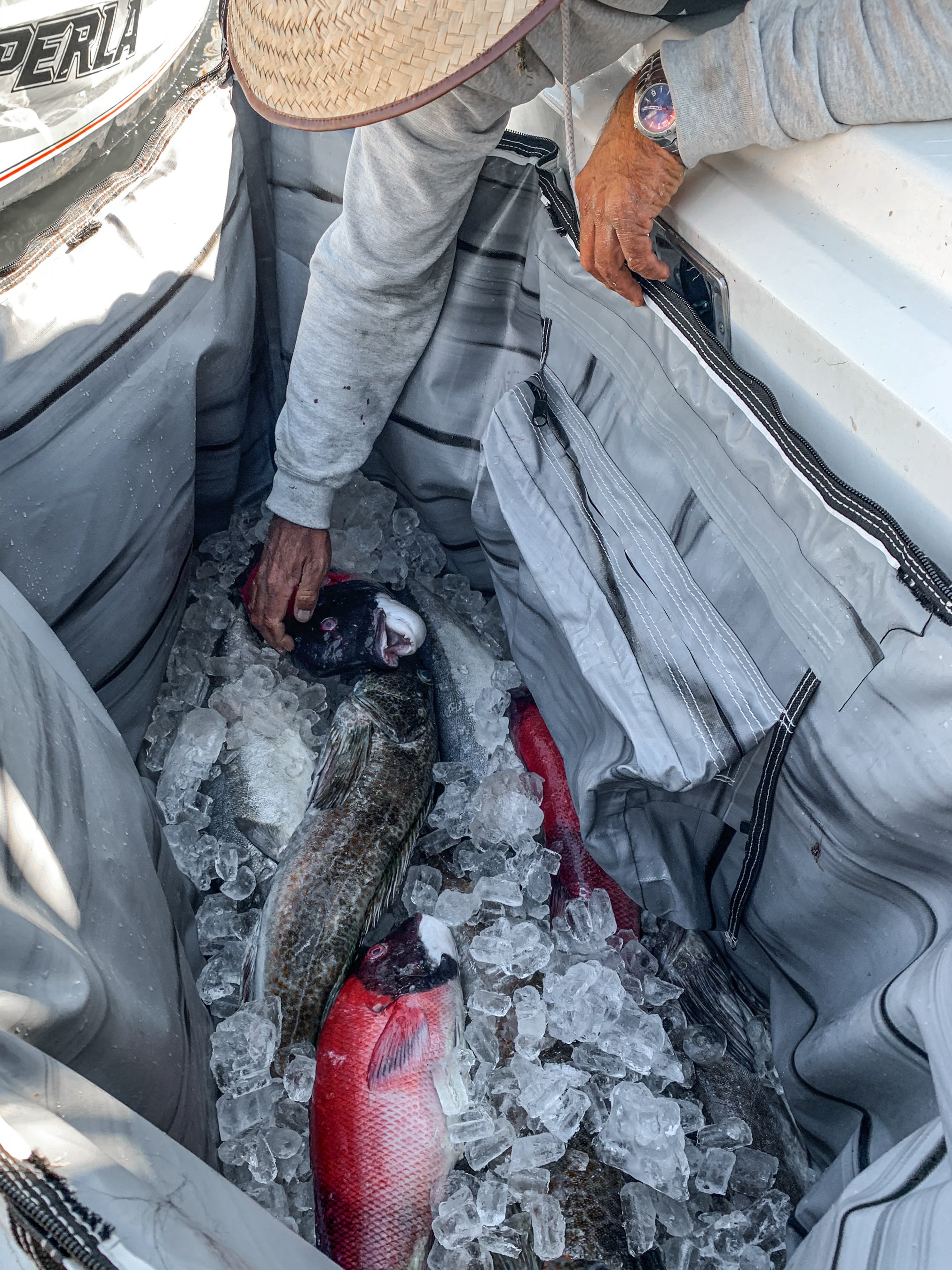 What To Do With Fish Scraps – Opah Gear Fishing Bags