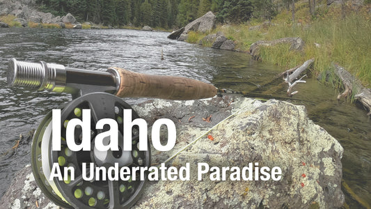 Exploring Idaho's Rivers and Fishing: A Angler's Paradise