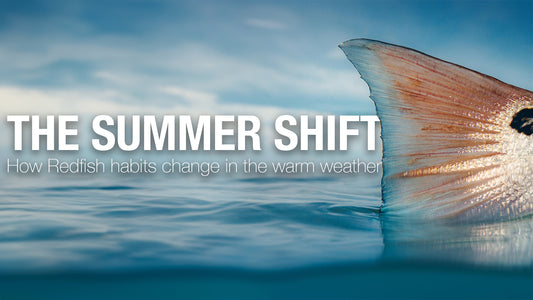 The Summer Shift: How Redfish Habits Change with the Warm Weather