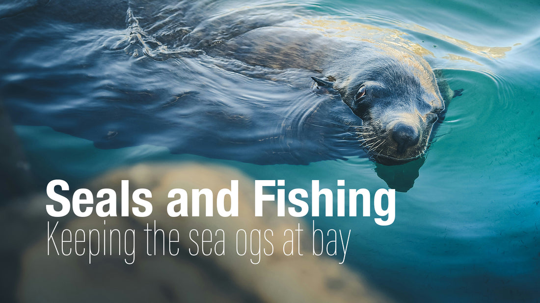 Keeping Seals Away While Fishing