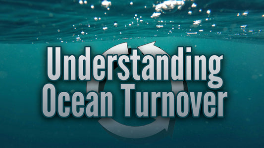 Understanding Ocean Turnover and Its Impact on Fishing