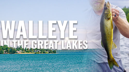 Walleye in the Great Lakes: Summer Habits and Fishing Tips