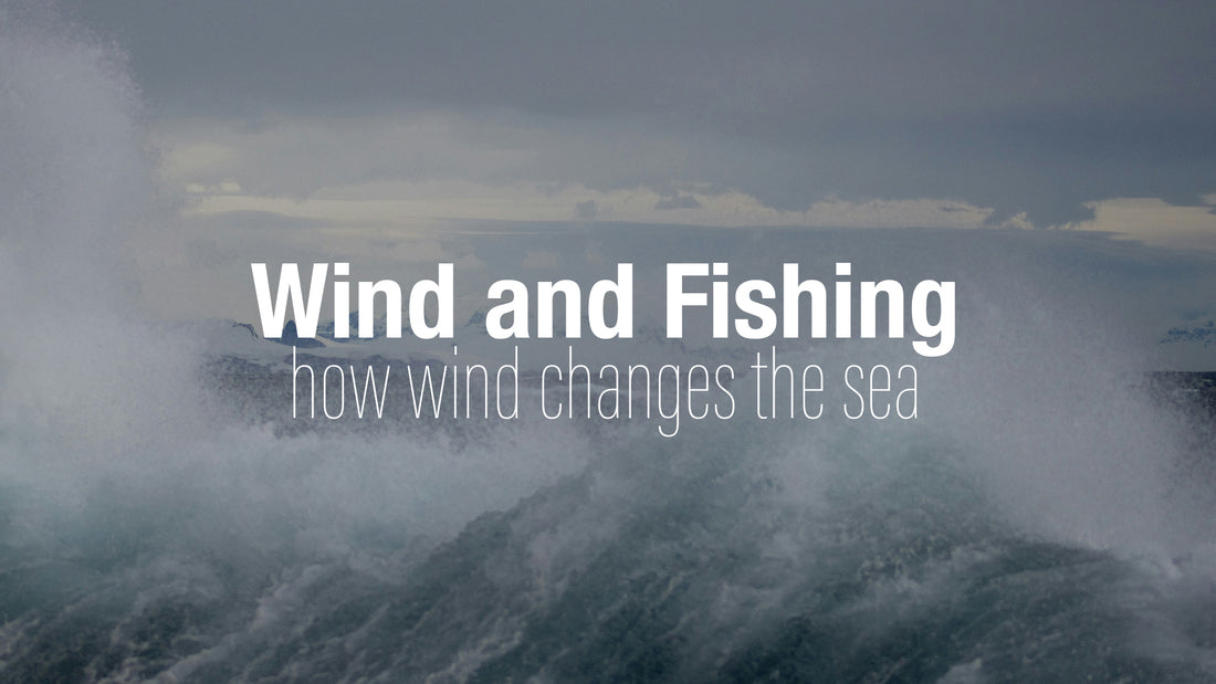 The Impact of Wind on Offshore Fishing Conditions