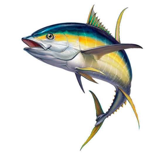 Tuna Facts For Tuna Season