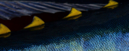tuna fishing bluefin yellowfin knot opah gear fishing cooler bag fish tackle jig kill bag ocean insulated cooler 