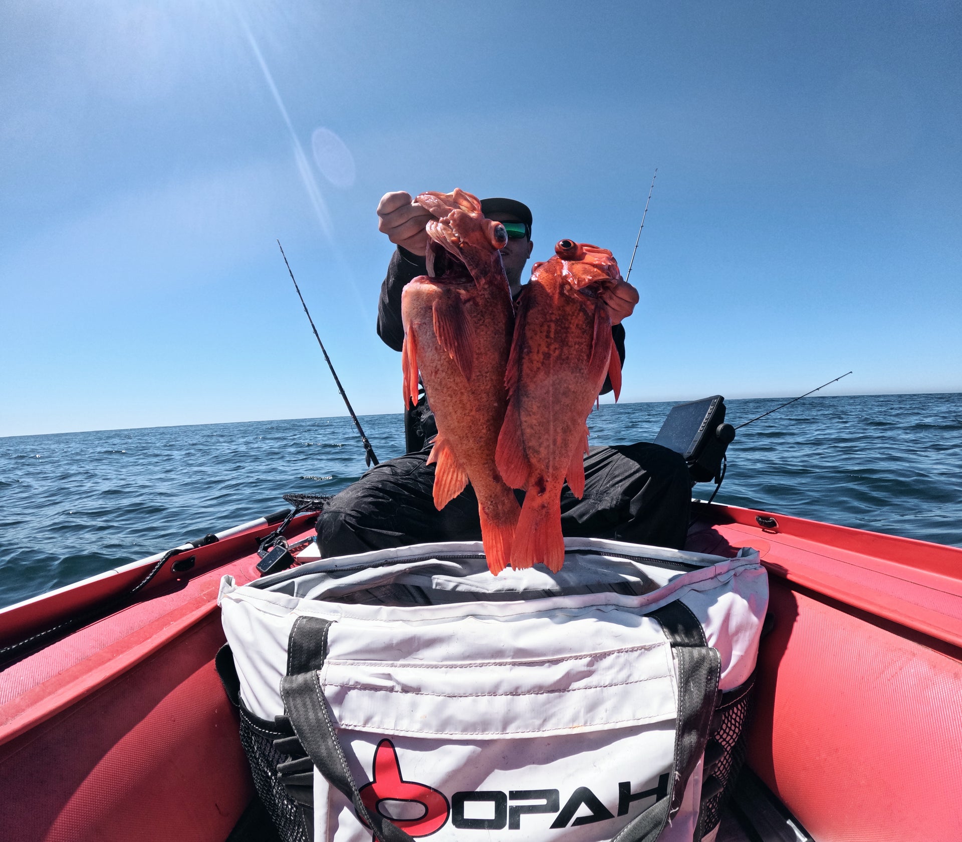 Load video: Opah Gear Kill Bags ready for action in any situation. Yellowtail, tuna, striper, kingfish, dorado, you name it!