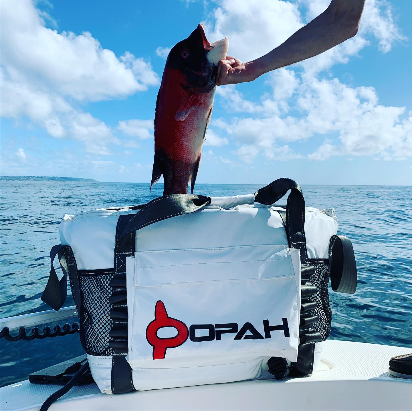 Opah Gear Fathom 3 Fish Cooler Bag Kill Bag. Protect your catch longer. The most reliable fish bag on the market. Purposely built to be the highest quality fish cooler bag in sportfishing. Even great when used as an insulated cooler bag while out camping or for other normal use. The highest quality insulated bag. A perfect Tuna Kill Bag, Dorado Kill bag, or yellowtail kill bag. 