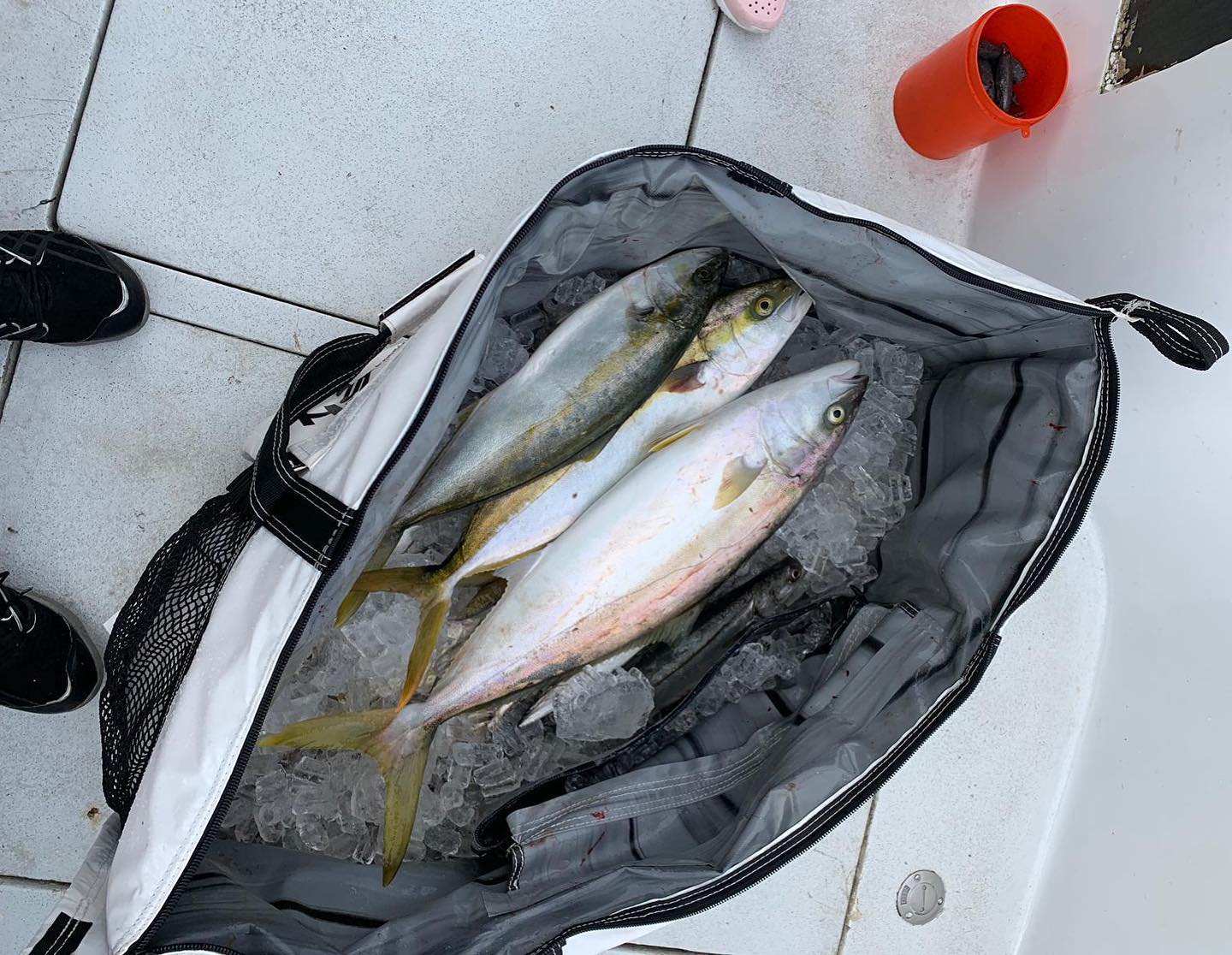 PREORDER ONLY Fathom 4 Insulated Cooler Bag, Salmon 44L x 12W x