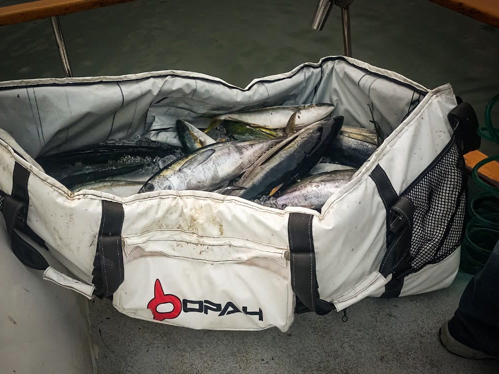 Opah Gear Fathom 5 Fish Cooler Bag Kill Bag. Protect your catch longer. The most reliable fish bag on the market. Purposely built to be the highest quality fish cooler bag in sportfishing. Even great when used as an insulated cooler bag while out camping or for other normal use. The highest quality insulated bag. A perfect Tuna Kill Bag, Dorado Kill bag, or yellowtail kill bag.