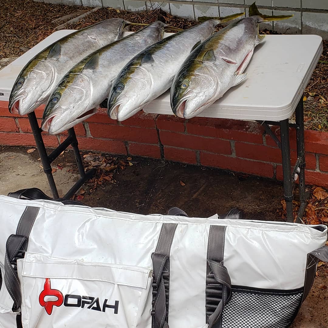 Opah Gear Fathom 5 Deep Fish Cooler Bag Kill Bag. Protect your catch longer. The most reliable fish bag on the market. Purposely built to be the highest quality fish cooler bag in sportfishing. Even great when used as an insulated cooler bag while out camping or for other normal use. The highest quality insulated bag. A perfect Tuna Kill Bag, Dorado Kill bag, or yellowtail kill bag. 