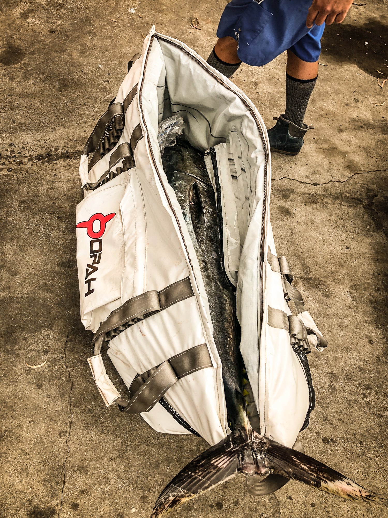 PREORDER ONLY Fathom 5 Deep Insulated Cooler Bag, Tuna 58L x 18W x 3 –  Opah Gear Fishing Bags