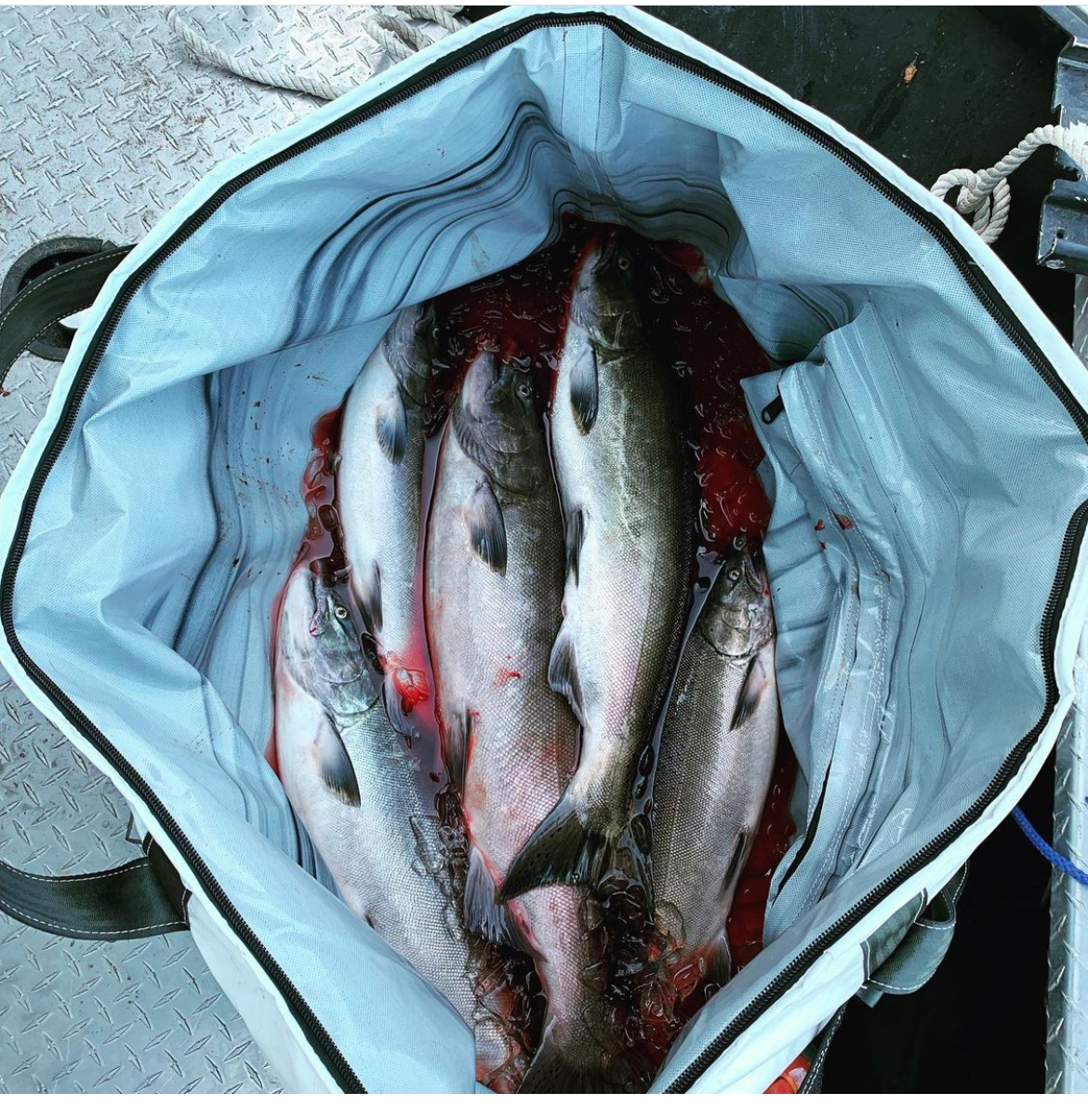 Opah Fish Kill Bag / Soft Sided Cooler - On going Review - Fishing -   Discussion forum